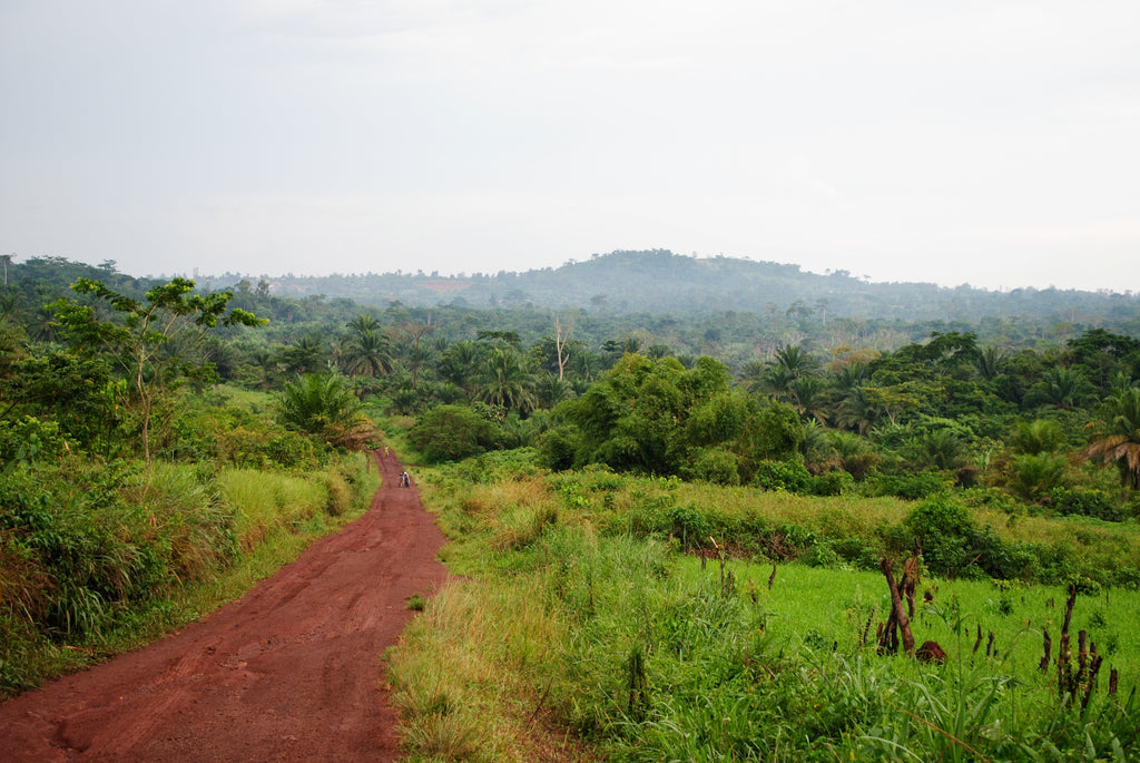 CONGO - Parque Nacional de Virunga
